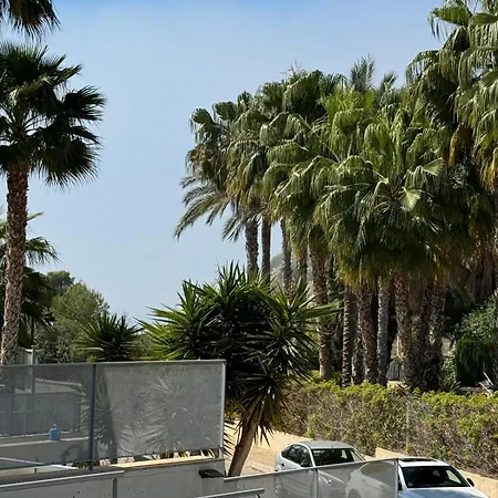 Palmeras *