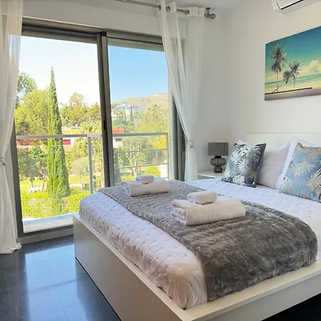 Palmeras Villa El Campello