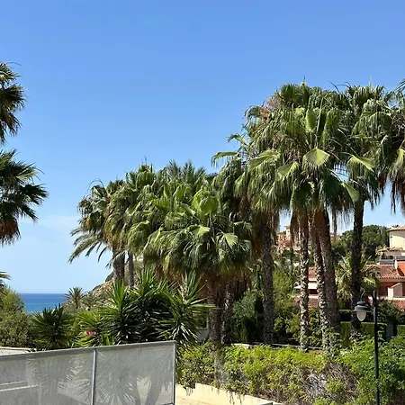Palmeras * El Campello
