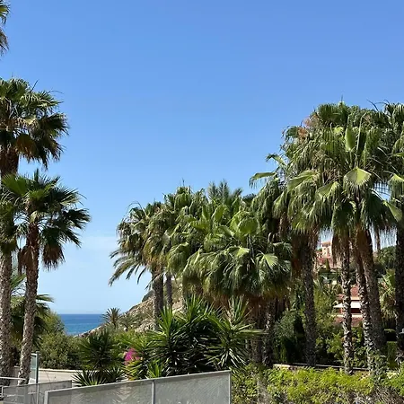 Palmeras Villa El Campello