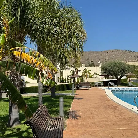 Palmeras Villa El Campello