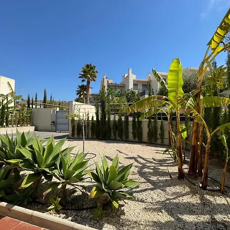 Palmeras El Campello