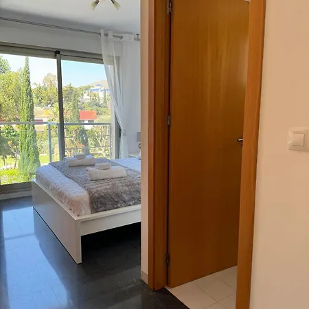 Palmeras Villa El Campello